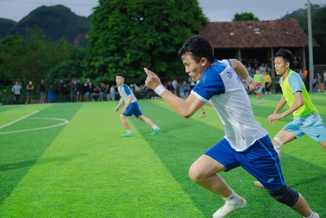 理有着更复